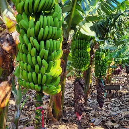 Casa Tio Manuel Séjour à la campagne